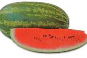 veoma slatka lubenica tanke kore i svetlo crvenog mesnatog jestivog dela