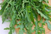 Divlja rukola seme organsko domaće neprskano
Diplotaxis tenuifolia
Divlja rukola je višegodišnja biljka koju ćete uvek imati kada je jednom posejete. Vrlo je nezahtevna u pogledu gajenja, voli malo hladnije vreme i izbija u rano proleće. Divna je u salatama, ima specifičan ukus i veliku lekovitost.  
Sva semena su odgajana u našoj bašti, po principima permakulture, biodinamike i regenerativne poljoprivrede. Zemljište je đubreno samo prirodnim organskim đubrivima i kompostom. Bez trunke hemije ga gajimo godinama. Raslo je potpuno prirodno i što je najvažnije sa puno ljubavi.
Semena su od prošle sezone, pa je klijavost odlična.
Za svaku potrošenu hiljadu dobijate kesicu semena po izboru!
Za porudžbine manje od 350 dinara, kupac snosi trošak provizije sajta u iznosu od 50 dinara.
Biologika
