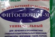 Prirodna zaštita od gljivičnih,bakterijskih I virusnih bolesti biljaka.
FITOSPORIN-M-Bacillus subtillis
.Prirodne fitobakterije FITOSPORINA za million godina evolucije druže se sa biljkama I štite ih praktično od svih bolesti, a biljke, za uzvrat, hrane  fitobakterije ugljenikom. Eto takvo je njihovo druženje I ljubav.
.Pored toga,FITOSPORIN ubrzava rast, razvoj korenovog I lisnog sistema I štiti biljke od vremenskih stresova ( suša, mraz)
.Pošto su fitobakterije FITOSPORINA-kulture spora, oni se ne boje ni mraza ni vrućine ni suše. 
.FITOSPORIN je potpuno bezopasan: danas ste obradili ( prskali, zalivali, unosili u zemlju ili tretirali plodove za duže čuvanje) danas već možete jesti plodove, lišće, stabla. ( o korisnosti Bacillus subtillisa za ljudsko zdravlje je mnogo napisano)
.FITOSPORIN izlučuje stotine različitih korisnih fermenata I bološki aktivnih substanci-to je živa fabrika.
Kod patogenih ne dolazi do privikavanja na FITOSPORIN, kao kod upotrebe hemijskih otrova na koje se, patogeni, brzo naviknu te ih I koriste kao hranu za svoj razvoj. Patogeni se menjaju a menjaju se I žive bakterije FITOSPORINA I pobeđuju bolesti.
.FITOSPORIN- probiotik (za život). On je koristan I životinjama I čoveku: leči disbakteriozu, povećava imunitet, ustanavlja sobstvenu korisnu mikrofloru kod životinja I kod čoveka.
.FITOSPORIN štiti biljke od mnogih bolesti:
Od gnjilosti korenovog sistema, vrata korenovog sistema, krastavost, crna noga, fuzarium,fitoftora, siva trulež,perenosporoza, pepelnica, rđa, pegavosti lista I ploda I mnogih drugih.
