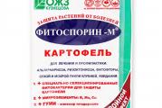 Prirodna zaštita od gljivičnih,bakterijskih I virusnih bolesti biljaka.
FITOSPORIN-M-Bacillus subtillis
.Prirodne fitobakterije FITOSPORINA za million godina evolucije druže se sa biljkama I štite ih praktično od svih bolesti, a biljke, za uzvrat, hrane  fitobakterije ugljenikom. Eto takvo je njihovo druženje I ljubav.
.Pored toga,FITOSPORIN ubrzava rast, razvoj korenovog I lisnog sistema I štiti biljke od vremenskih stresova ( suša, mraz)
.Pošto su fitobakterije FITOSPORINA-kulture spora, oni se ne boje ni mraza ni vrućine ni suše. 
.FITOSPORIN je potpuno bezopasan: danas ste obradili ( prskali, zalivali, unosili u zemlju ili tretirali plodove za duže čuvanje) danas već možete jesti plodove, lišće, stabla. ( o korisnosti Bacillus subtillisa za ljudsko zdravlje je mnogo napisano)
.FITOSPORIN izlučuje stotine različitih korisnih fermenata I bološki aktivnih substanci-to je živa fabrika.
Kod patogenih ne dolazi do privikavanja na FITOSPORIN, kao kod upotrebe hemijskih otrova na koje se, patogeni, brzo naviknu te ih I koriste kao hranu za svoj razvoj. Patogeni se menjaju a menjaju se I žive bakterije FITOSPORINA I pobeđuju bolesti.
.FITOSPORIN- probiotik (za život). On je koristan I životinjama I čoveku: leči disbakteriozu, povećava imunitet, ustanavlja sobstvenu korisnu mikrofloru kod životinja I kod čoveka.
.FITOSPORIN štiti biljke od mnogih bolesti:
Od gnjilosti korenovog sistema, vrata korenovog sistema, krastavost, crna noga, fuzarium,fitoftora, siva trulež,perenosporoza, pepelnica, rđa, pegavosti lista I ploda I mnogih drugih.
