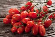 Izuzetno ukusna, stara sorta paradajza!!!Nije GMO, ni hibrid.10 svezih semenki u pakovanju.*Uz semenke dobijate i uputstvo za sejanje + poklon semenke iznenadjenja*
