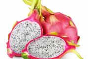 Sadnica kaktusa ciji je plod Dragon fruit voce ili Pitaja. Oko 10cm velicine.Sadnice stizu neostecene!*Uz sadnice dobijate i uputstvo za sadnju + poklon semenke*