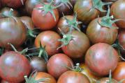  Izuzetno ukusna, stara sorta paradajza!!!Nije GMO, ni hibrid.10 svezih semenki u pakovanju.*Uz semenke dobijate i uputstvo za sejanje + poklon semenke iznenadjenja*