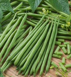 Seme povrća: Zelena boranija