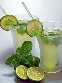 Začini i lekovito bilje: Mojito Nana - Mentha Piperita (1000 semenki)