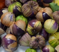 Seme povrća: Tomatillo Purple - Physalis Ixocarpa (100 semenki)