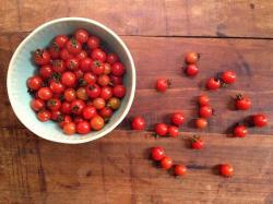 Seme povrća: Crveni Cherry paradajz stara sorta Heirloom