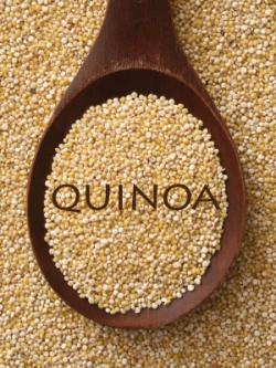 Seme povrća: Quinoa - Kinoa (seme) zitarica BUDUCNOSTI!!