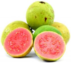 Seme voća: Psidium guajava - Guava (seme)