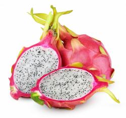 Sadnice - voće: Dragon fruit (sadnica)