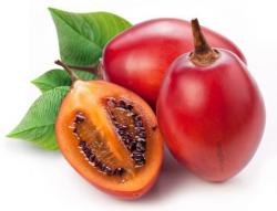 Seme voća: Tamarillo drvo paradajz CRVENI - Tamarilo Solanum betaceum (seme)