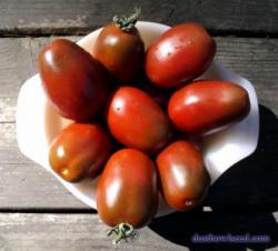 Seme povrća: Paradajz Black plum heirloom - Crna sljiva paradajz (seme)