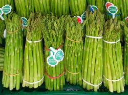 Seme povrća: Špargla (seme) Asparagus