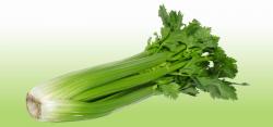 Seme povrća: Celer Liscar (seme)