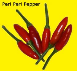 Začini i lekovito bilje: Piri - piri - Cili paprika (seme)