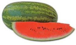 Seme voća: lubenica duga50sem
