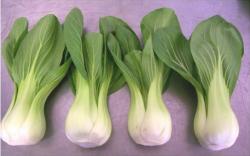 Seme povrća: Bok Choy ( Veoma Zdrav )