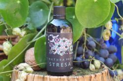 Začini i lekovito bilje: Tinktura protiv stresa nervoze nemira nesanica stres anksioznost