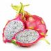 Sadnice - voće: Dragon fruit (reznica), slika2