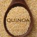 Seme povrća: Quinoa - Kinoa (seme) zitarica BUDUCNOSTI!!, slika3